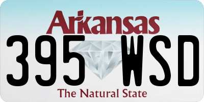 AR license plate 395WSD