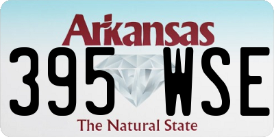 AR license plate 395WSE