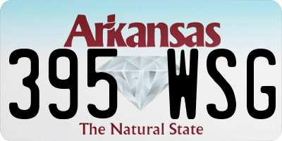 AR license plate 395WSG