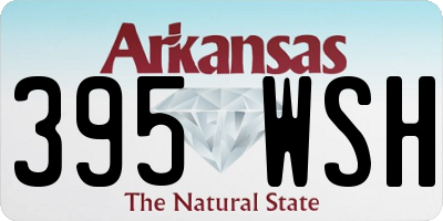 AR license plate 395WSH
