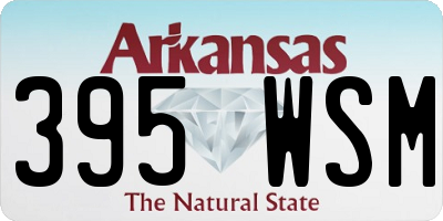 AR license plate 395WSM