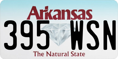 AR license plate 395WSN