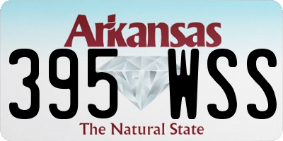AR license plate 395WSS