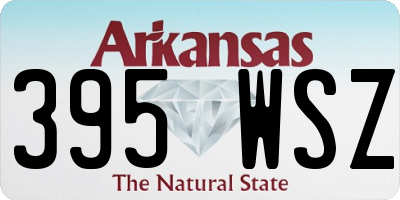 AR license plate 395WSZ