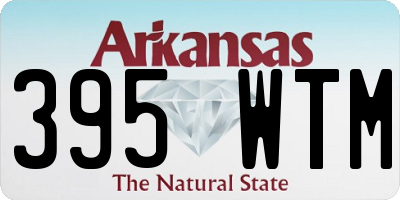 AR license plate 395WTM