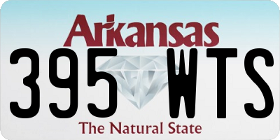 AR license plate 395WTS