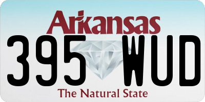 AR license plate 395WUD