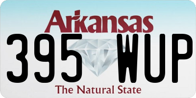 AR license plate 395WUP
