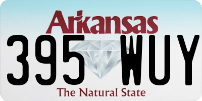 AR license plate 395WUY