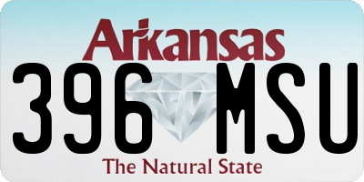 AR license plate 396MSU