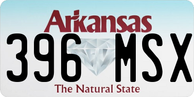 AR license plate 396MSX