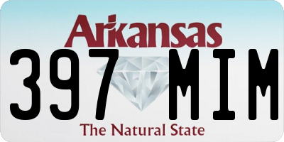 AR license plate 397MIM