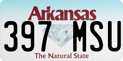 AR license plate 397MSU