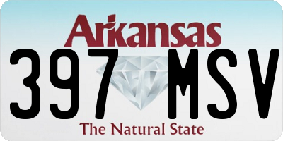 AR license plate 397MSV