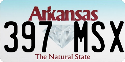 AR license plate 397MSX