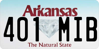 AR license plate 401MIB