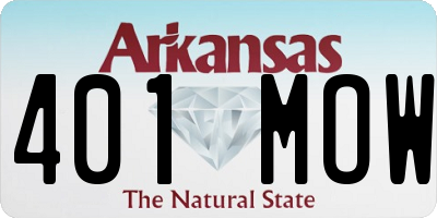AR license plate 401MOW