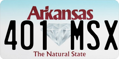 AR license plate 401MSX