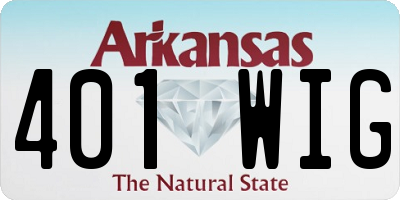AR license plate 401WIG