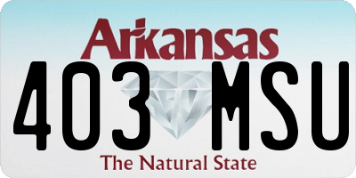 AR license plate 403MSU
