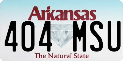 AR license plate 404MSU