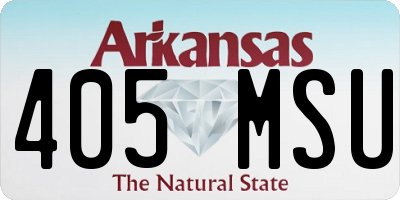 AR license plate 405MSU