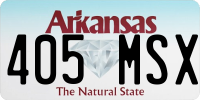 AR license plate 405MSX