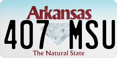 AR license plate 407MSU