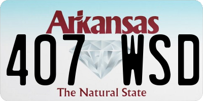 AR license plate 407WSD