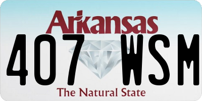 AR license plate 407WSM
