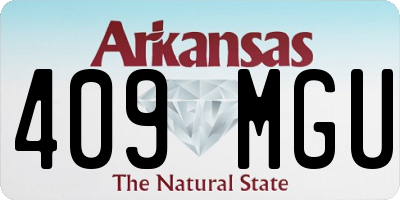 AR license plate 409MGU