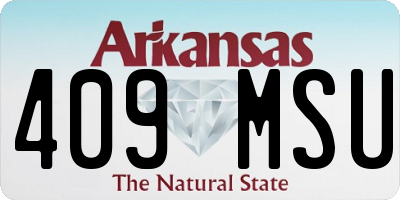 AR license plate 409MSU