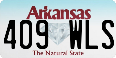 AR license plate 409WLS