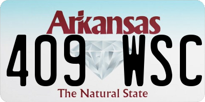 AR license plate 409WSC