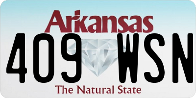 AR license plate 409WSN