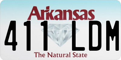 AR license plate 411LDM