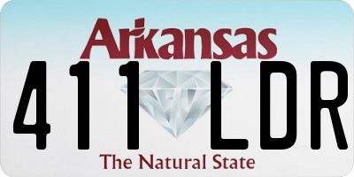 AR license plate 411LDR