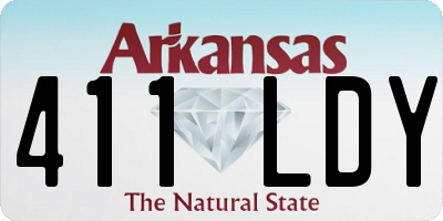 AR license plate 411LDY