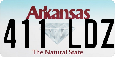 AR license plate 411LDZ
