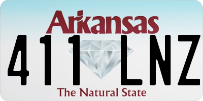 AR license plate 411LNZ