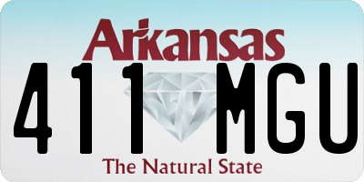 AR license plate 411MGU