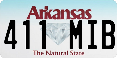 AR license plate 411MIB