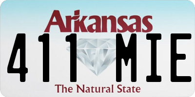 AR license plate 411MIE