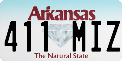 AR license plate 411MIZ