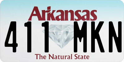 AR license plate 411MKN