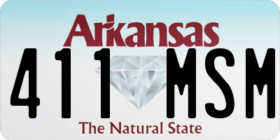 AR license plate 411MSM