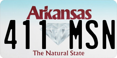 AR license plate 411MSN