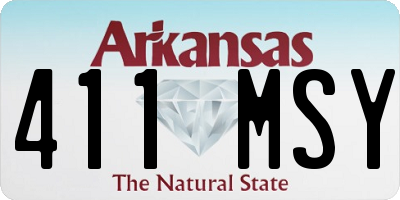 AR license plate 411MSY