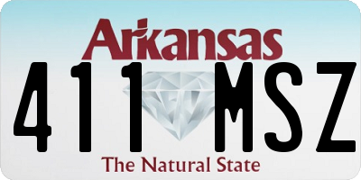 AR license plate 411MSZ