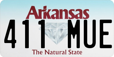 AR license plate 411MUE